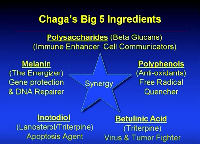 screen-shot-2016-12-05-at-6-20-18-pm