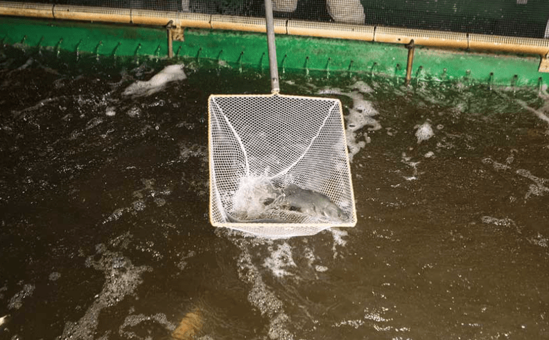 screen-shot-2017-01-12-at-7-31-05-pm